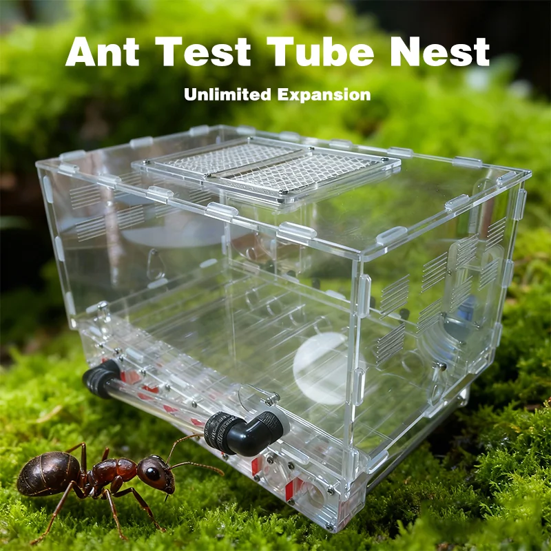 Ant Farm Ant Castle… - image