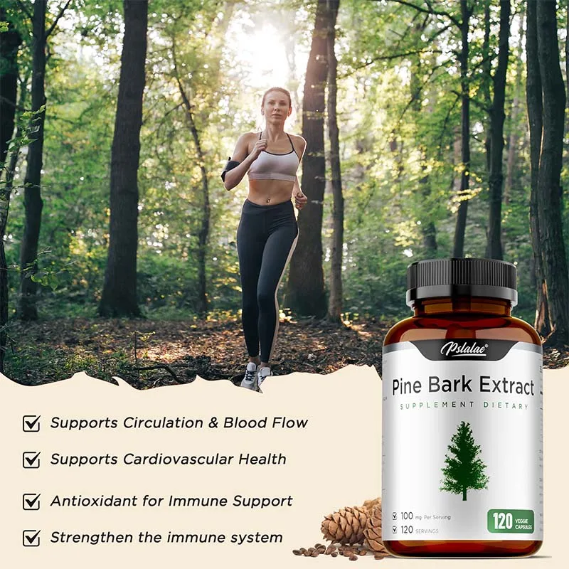 Pine Bark Extract Supplement - Support Blood Circulation, Enhance The Immune System, Anti-oxidation, and Promote Absorption