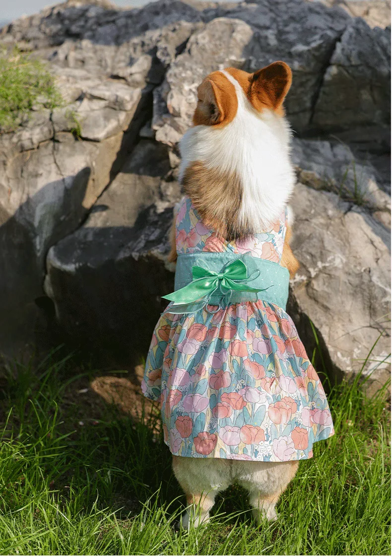 

Dog Chest Back Skirt Shirt, Cute Pet Clothes, Cute Sweet Skirt, Suspender Skirt
