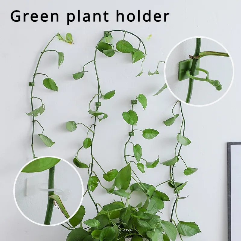 10pcs/set Plant and Green Plant Fixer, Green Basket Vine Climbing, Wall Hanging Style Household Universal Hook Plant Trellis