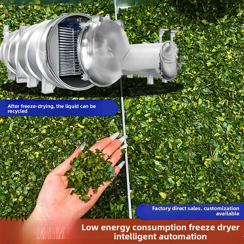 

Chinese Herbal Medicine Intelligent Low-Energy Vacuum Machine, Liquid Recovery Freeze-Drying Equipment After Sublimation
