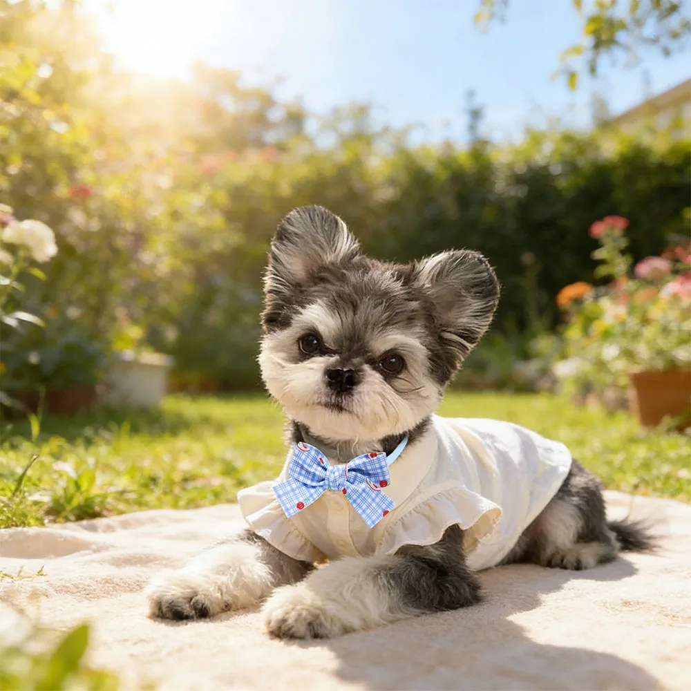 Thumbnail 3 - #19 Best Adjustable Pet Collars to Buy In 2026