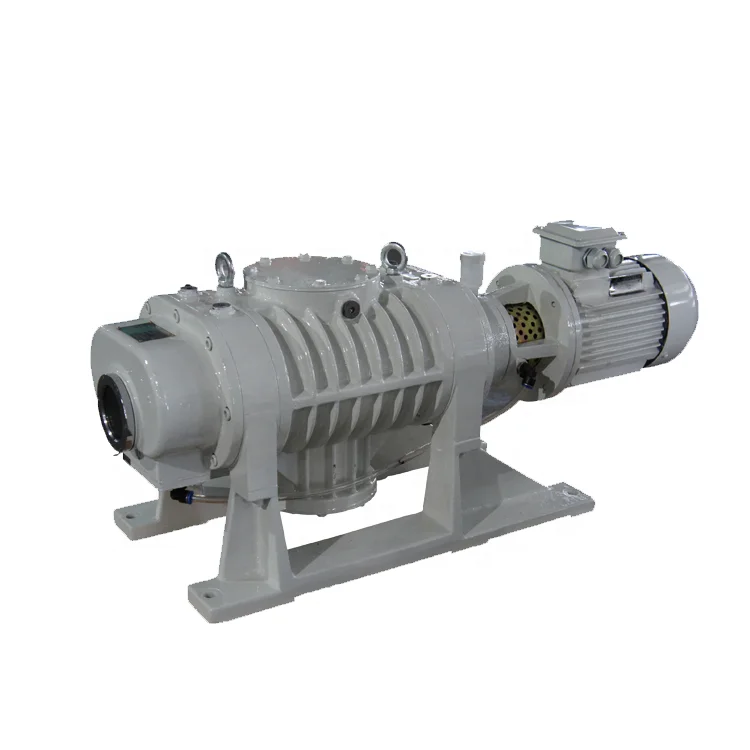 

ZJ-300 4kw Clean Vacuum Roots Vacuum Pump Mechanical Vacuum Pump