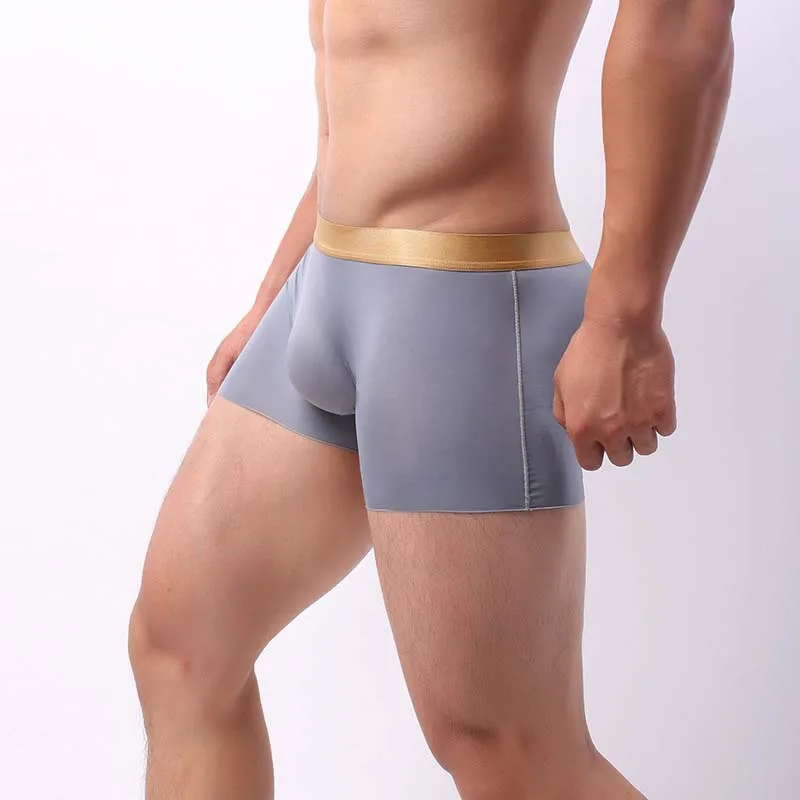 Summer Ice Silk Underwear Men Seamless Transparent Boxer Shorts Ultra Thin Sheer Breathable Panties Sexy Underpants Boxershorts