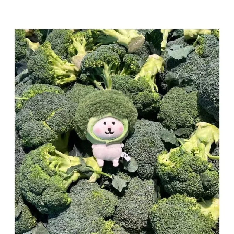 

Очаровательная 10 см овощная брокколи Нуну, хлопковая кукла, морская звезда, чехол на голову куклы, подвесной орнамент, милый игрушечный аксессуар
