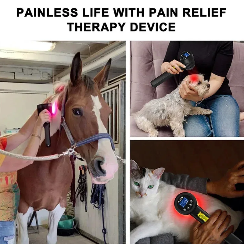 3 واط شفاء الليزر العلاج الخلفي للكلاب الخيول لتخفيف الآلام مكافحة إيدايميك الأنسجة إصلاح المضادة للالتهاب إصابة شفاء 808nm 650nm #3