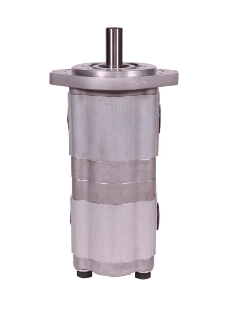 Double Gear Pump  2 Holes, Thread Flat Key