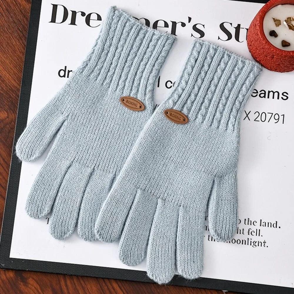 Practical Polyester Cable Knitted Gloves Cold Proof Textured Warm Touch Screen Gloves Full Finger Winter Gloves For Women