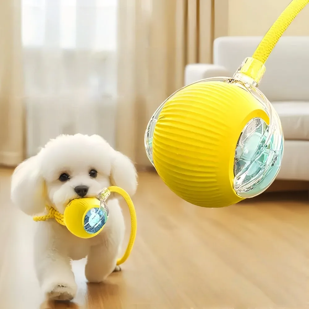 Thumbnail 2 - #27 New Puppy Balls Arrivals