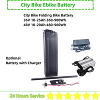 Fat Tire City Folding Ebike Battery 48V 10.4Ah 13Ah 15Ah 18Ah 20Ah 36V 13Ah 20Ah Silver Fish Battery for Rattan LF LM 750 Pro