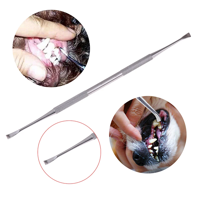 Double-head Stainless Steel Pet Tartar Stone Remover Scraper Scaler for Dog Dental Tooth Oral Hygiene Health Care Clean Tool