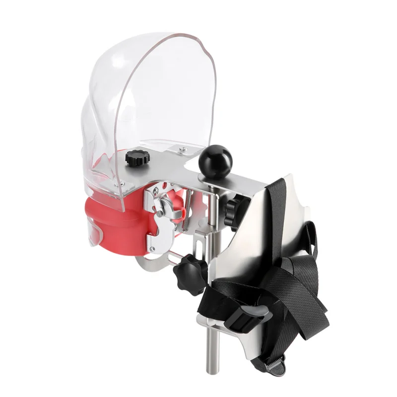 JUMTOP Dental Simulator Mannequin Head Typodont Tooth Model Teaching Head Mold with 28 Removable Teeth - Image 4