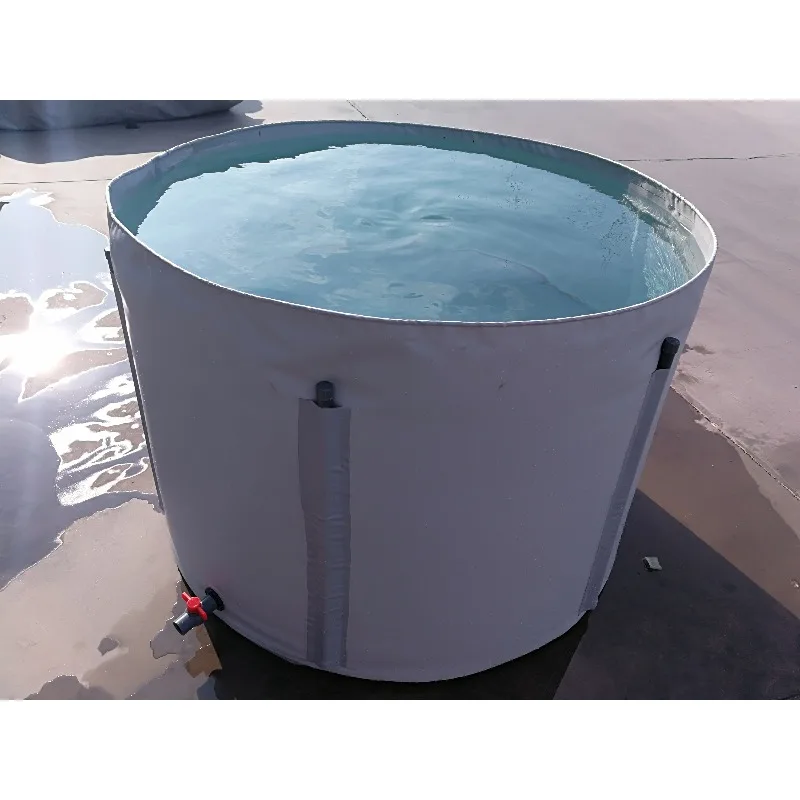 PVC Outdoor Small Aquarium Fish Breeding Tank Transparent Customizable Color & Shape for Fish Shrimp Farming