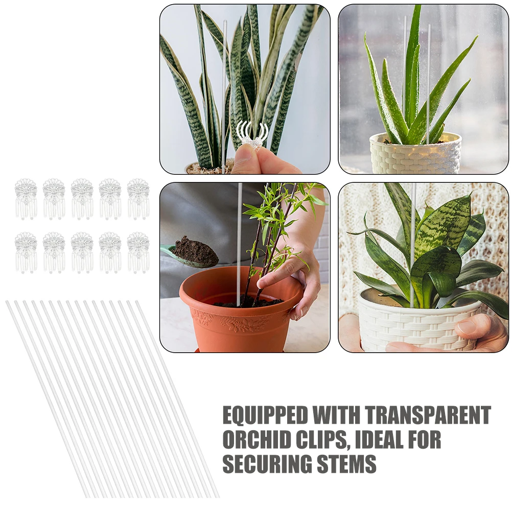

Flexible Plant Support Stick Acrylic Garden Flower Rod Clear Stakes for Plants Stable Growth Transparent