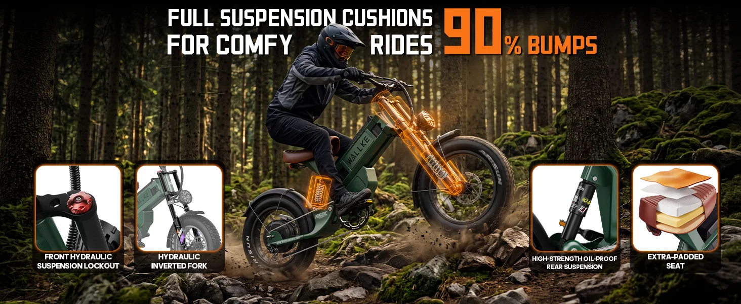 long range ebike