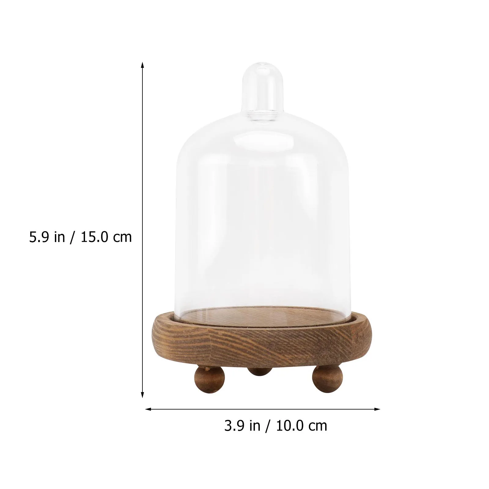 

Eternal Flower Cover Clear Dome PC Bell Jar Dustproof Display Decor Artificial Plants nament St Preserved Flowers Showpiece Gift