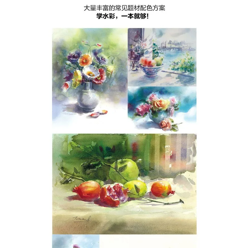 Watercolor Painting Color Matching Tutorial Book Watercolor Techniques To Achieve The Ultimate Color Mixing Terumi Suzuki