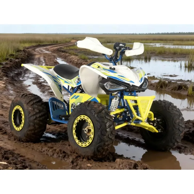 

SXLL New CE-certified 1800W 72A Automatic Brushless DC Hydraulic Disc Brakes and Axle Drive Electric All Terrain Vehicles for Ou