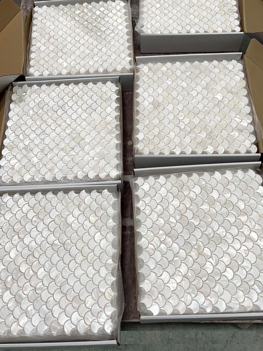 Israel Client 8Pcs Fish Scale Fan-Shaped White Natural Shell Mosaic Tiles Waterproof High-End Wall Art Decorative Materials