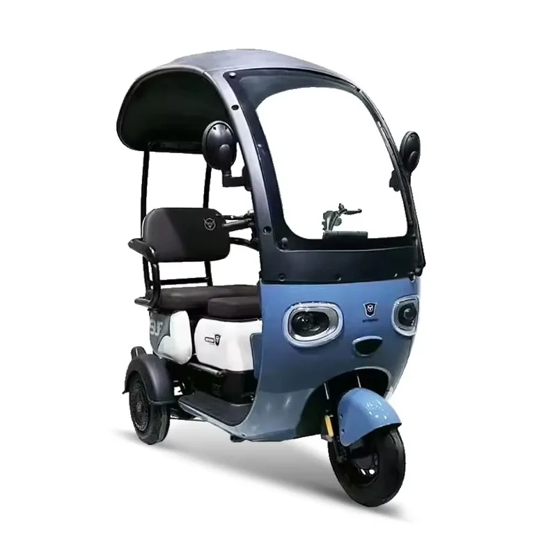 Electric passenger tricycle freight tricycle two-seat new three-wheeled adult motorcycle fashion leisure electric tricycle