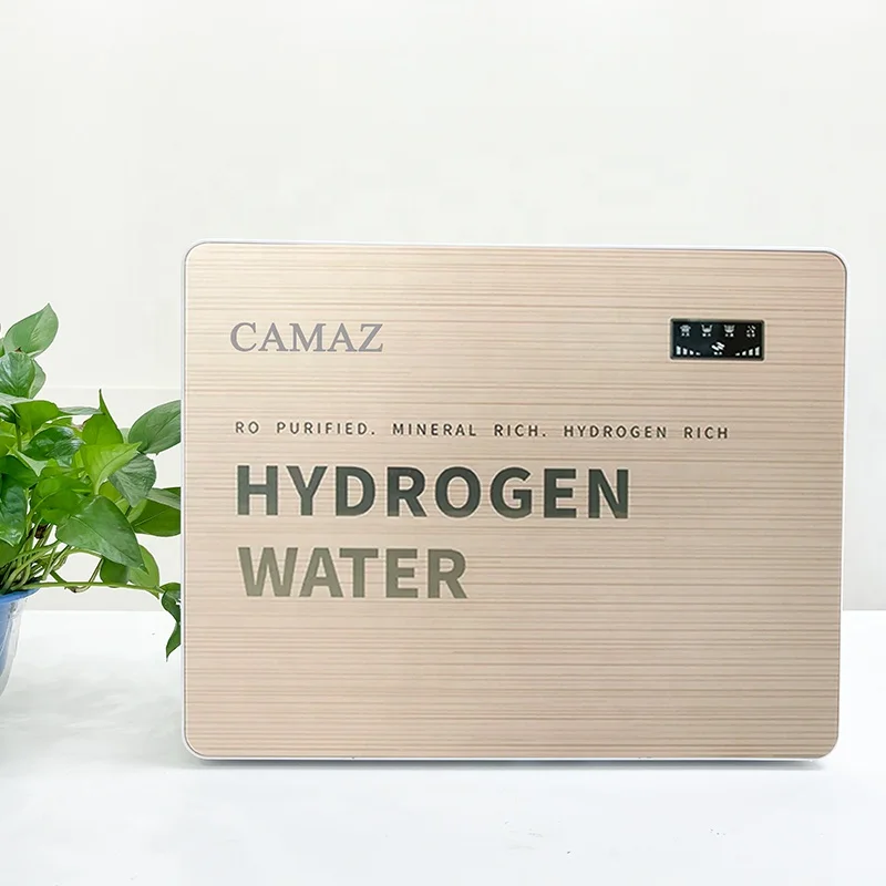 

Electric Battery-Powered Plastic Hydrogen-Rich RO Pure Water Machine H2 Alkaline Reverse Osmosis Technology for Household RV Use