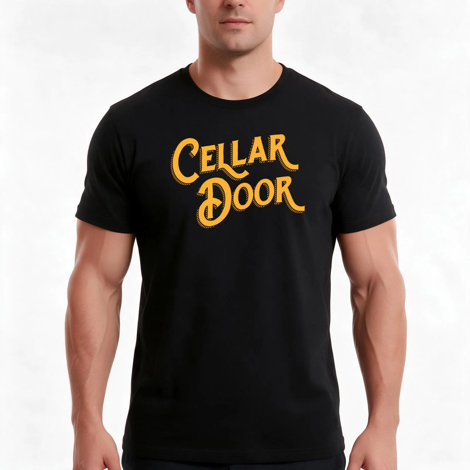 Cellar Door T-Shirt, Summer Casual Cotton Tee, Oversized Streetwear Tops, Vintage Graphic Print, Loose Fit Short Sleeve