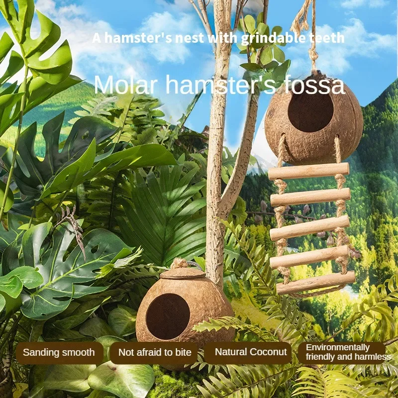 Handmade Coconut Shell Hamster Nest Polishing and Polishing Small Animal Wood Avoidance Nest Golden Bear Totoro Parrot Nest Bird