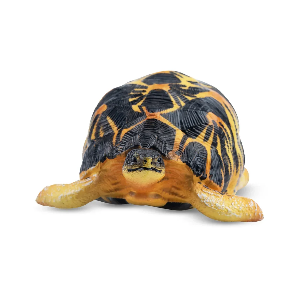 Toymany Simulation Radiated Tortoise Madagascar Animal Model Toy Mini Figures Dolls Action Figurines Toy Children Gife Cake Dec