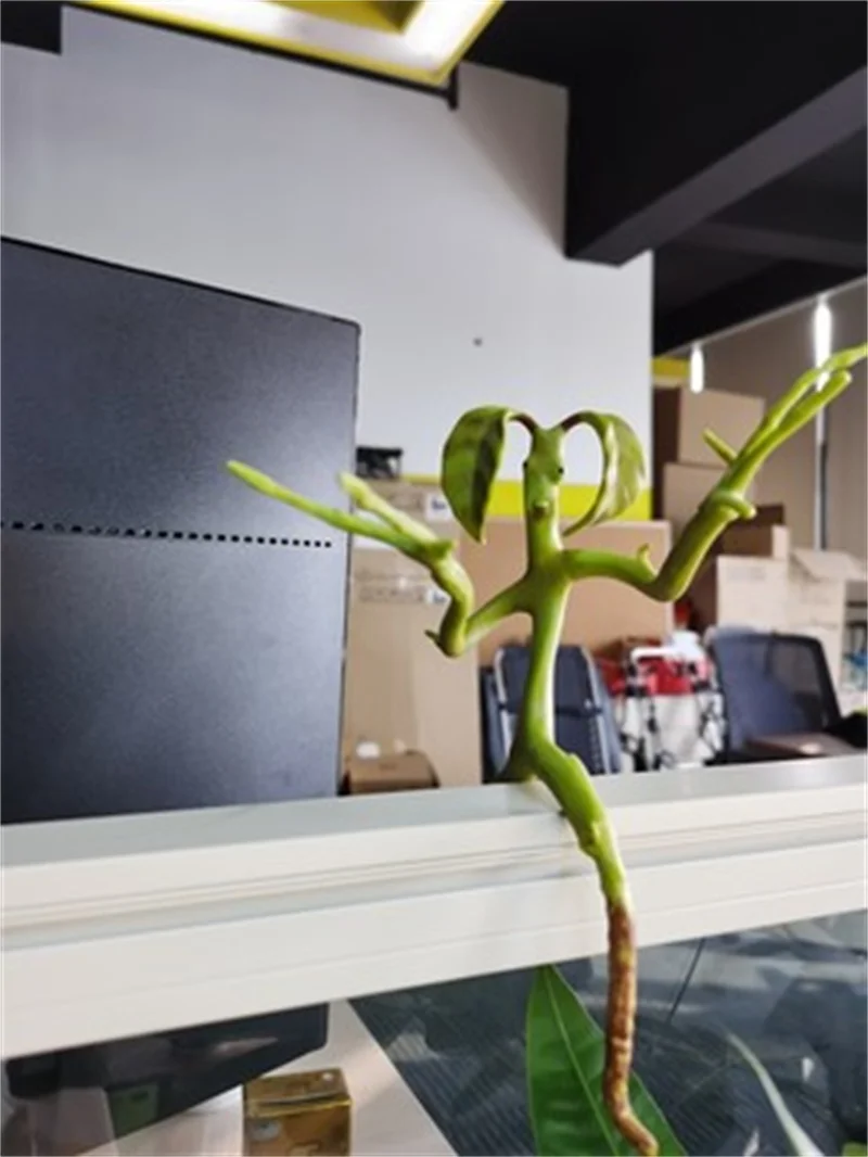 Movies Magic Hp Prop Fantastic Beasts 2 and Where to Find Them: Bendable Bowtruckle Pickett Flexible Toy