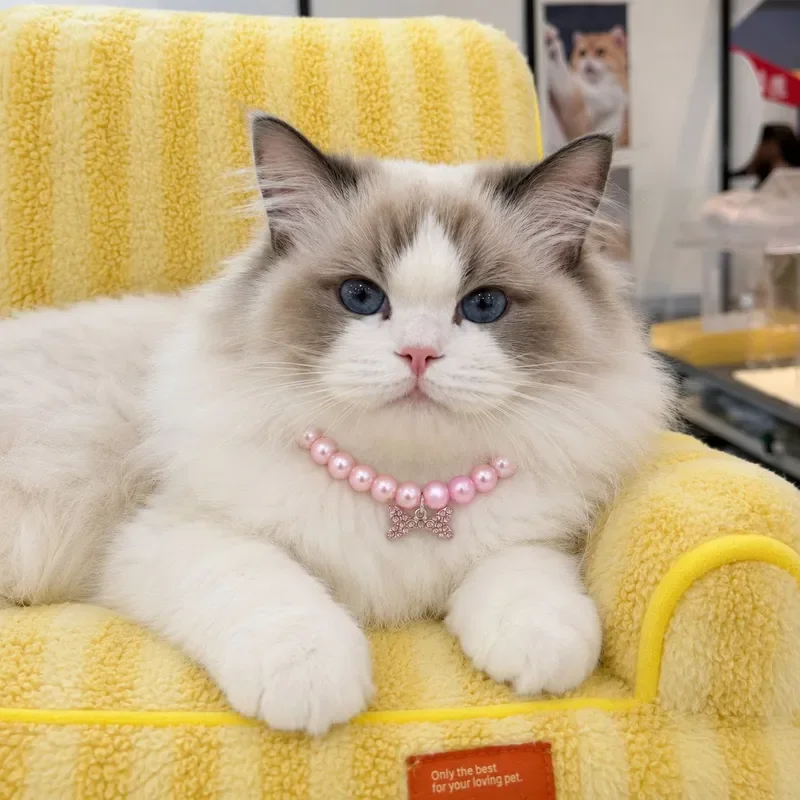 Cross-border bone modeling pearl pet necklace cat and dog universal ins wind small dog dog and cat jewelry collar worker