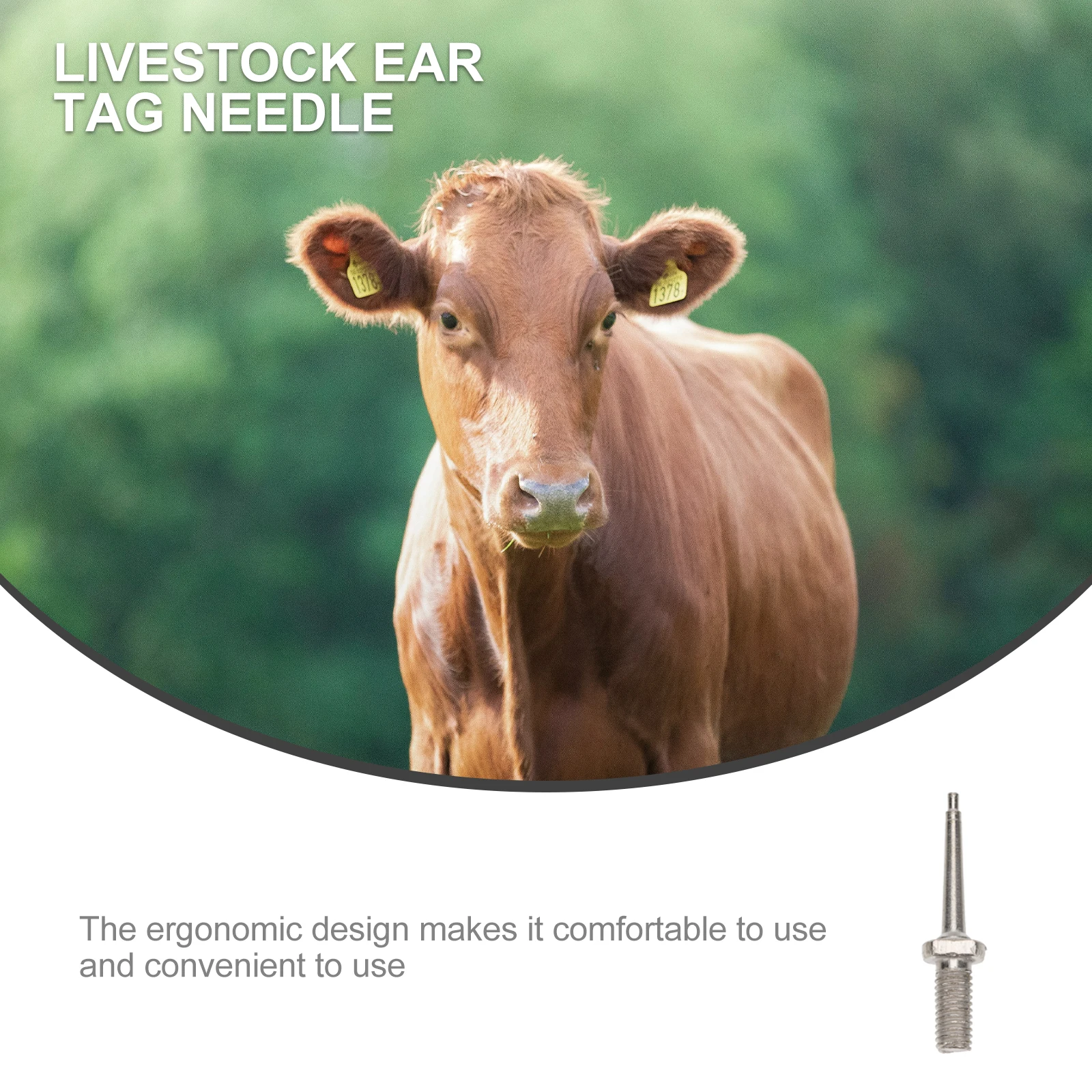 

10 Pcs Ear Tag Needle Practical Sturdy Needles Sheep Cattle Tags Stainless Steel for Cow