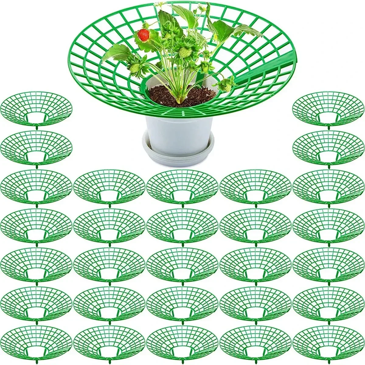 Strawberry Plant Supports with 3 Sturdy Legs Strawberry Growing Racks Protector Frame Holder Cage From Mold Rot Dirt