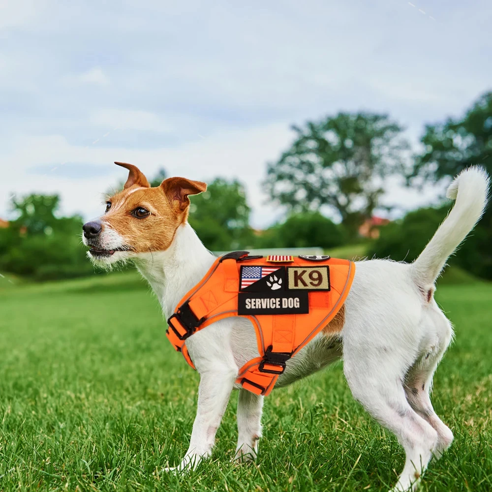 Reflective Orange Dog Harness Leash Set with 4 Metal Buckles Military Tactical Pet Training Vest Harness Leash for Large Dogs