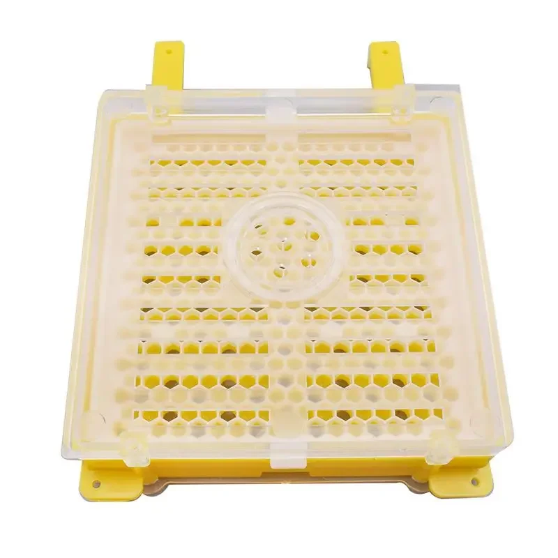 Export breeding box for breeding queen bees with plastic queen rearing equipment, no migration set meal