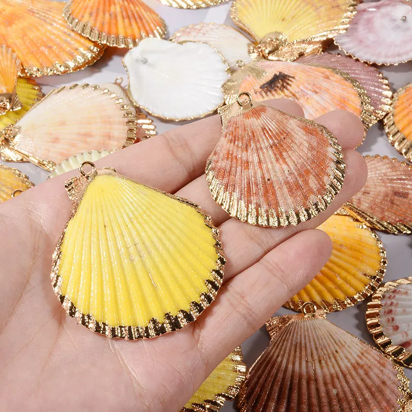 Natural Seashell Conch Pendants for DIY Jewellery Making
