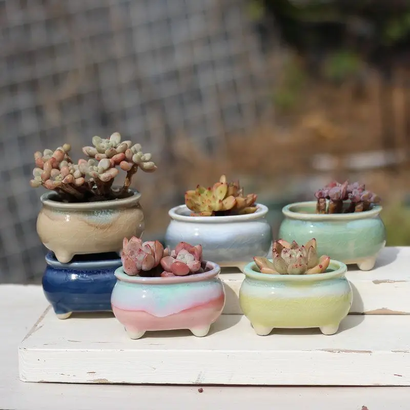 White Porcelain Ice Cracked Glazed Meat Pot,fresh Succulent Flowerpot,ceramic Oval Breathable Pot,platter Succulent Plant Pot