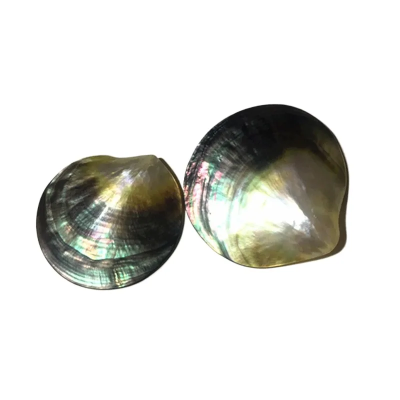 Natural Black Butterfly Pearl Shell, Polished shell Jewelry, Starfish Conch Ornaments