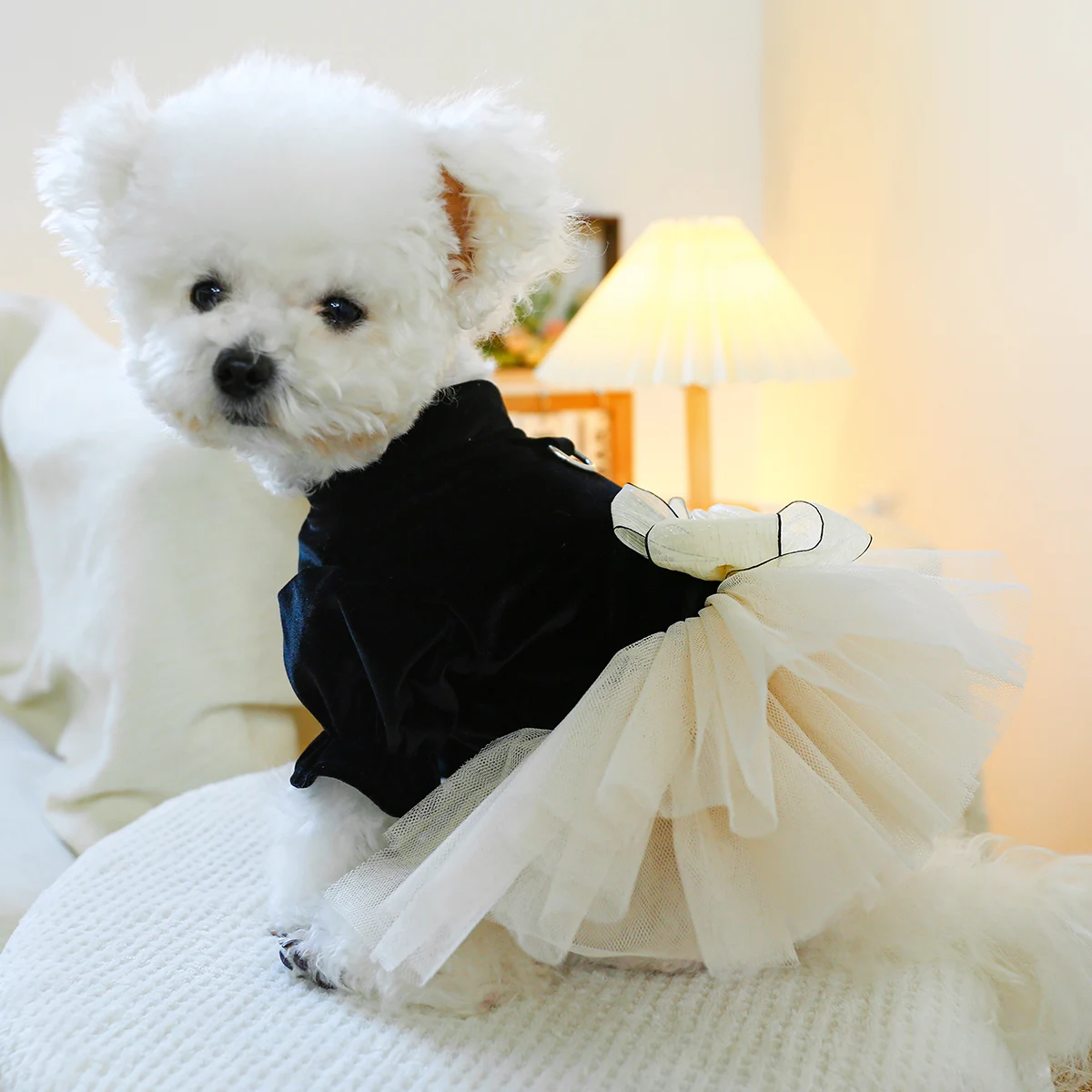 1PC Pet Clothing Cat Spring and Autumn Black Velvet Bow Princess Dress Traction Buckle Suitable for Small and Medium sized Dogs