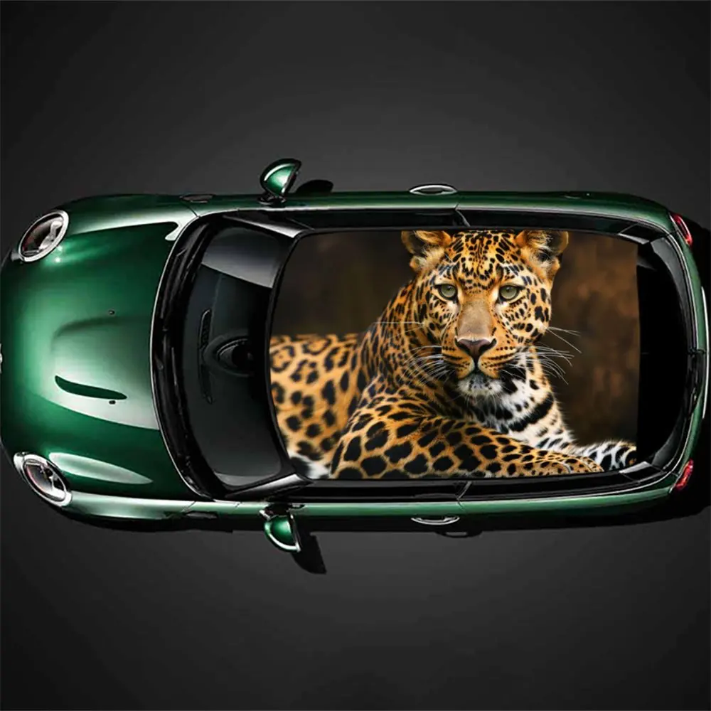 

Mysterious leopard patterns in the gaze of car vinyl wraps, vinyl car roof graphics, cool vinyl pattern car roof stickers