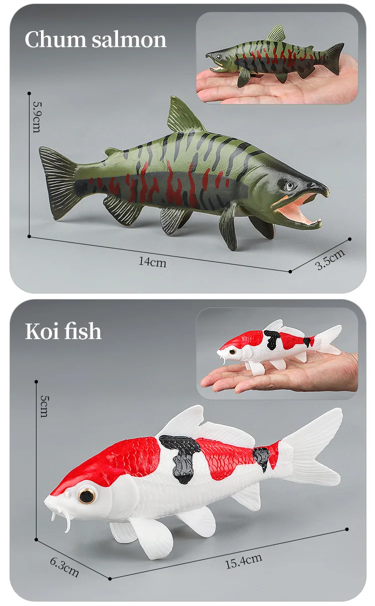 Meeresleben-Tiere-Modell, Actionfiguren-Set – Ozeanfisch, Thunfisch, Segelfisch, Bass, Zacker, Lachs, PVC, Lernspielzeug für Kinder – Detail 13