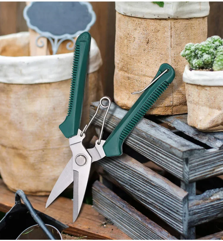 مقصات تشذيب الرأس المستقيمة مقبض مانع للانزلاق من الفولاذ المقاوم للصدأ أدوات يدوية مقص حديقة بونساي مقص Pruing القص