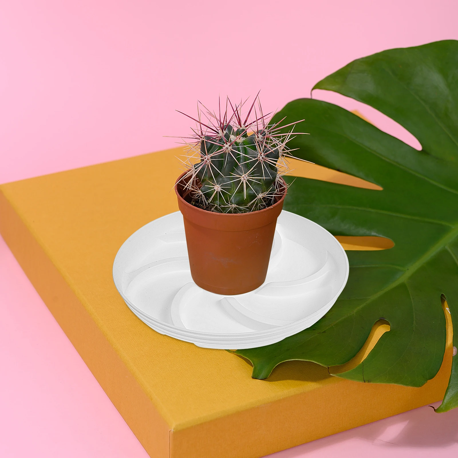 

5 Pcs Leak-proof Plant Trays Durable Resin Material Indoor Round Flowerpot Base High Wear Strip Garden Supplies