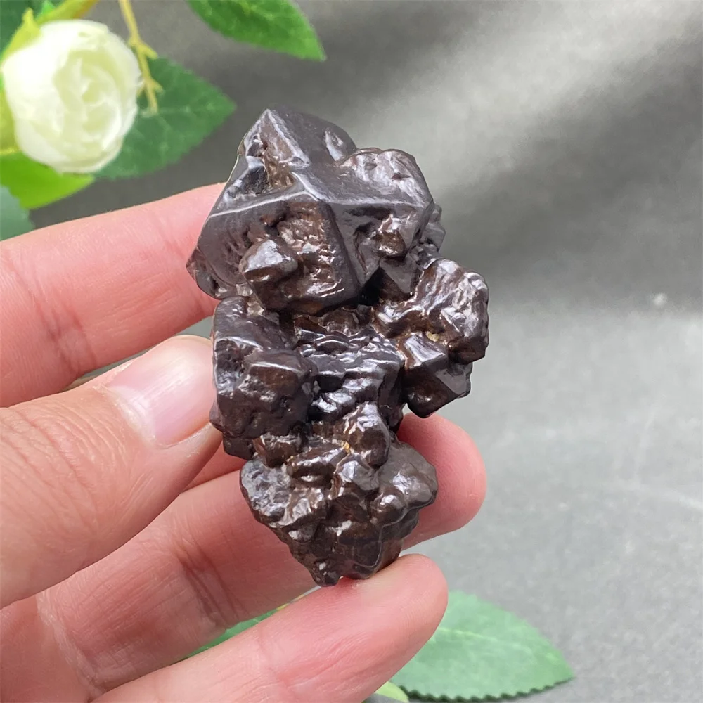 Natural Egyptian Black Diamond Mineral Specimen - Irregular Rough Stone for Witchcraft Rituals Prophecy Home Decor & Unique Holi