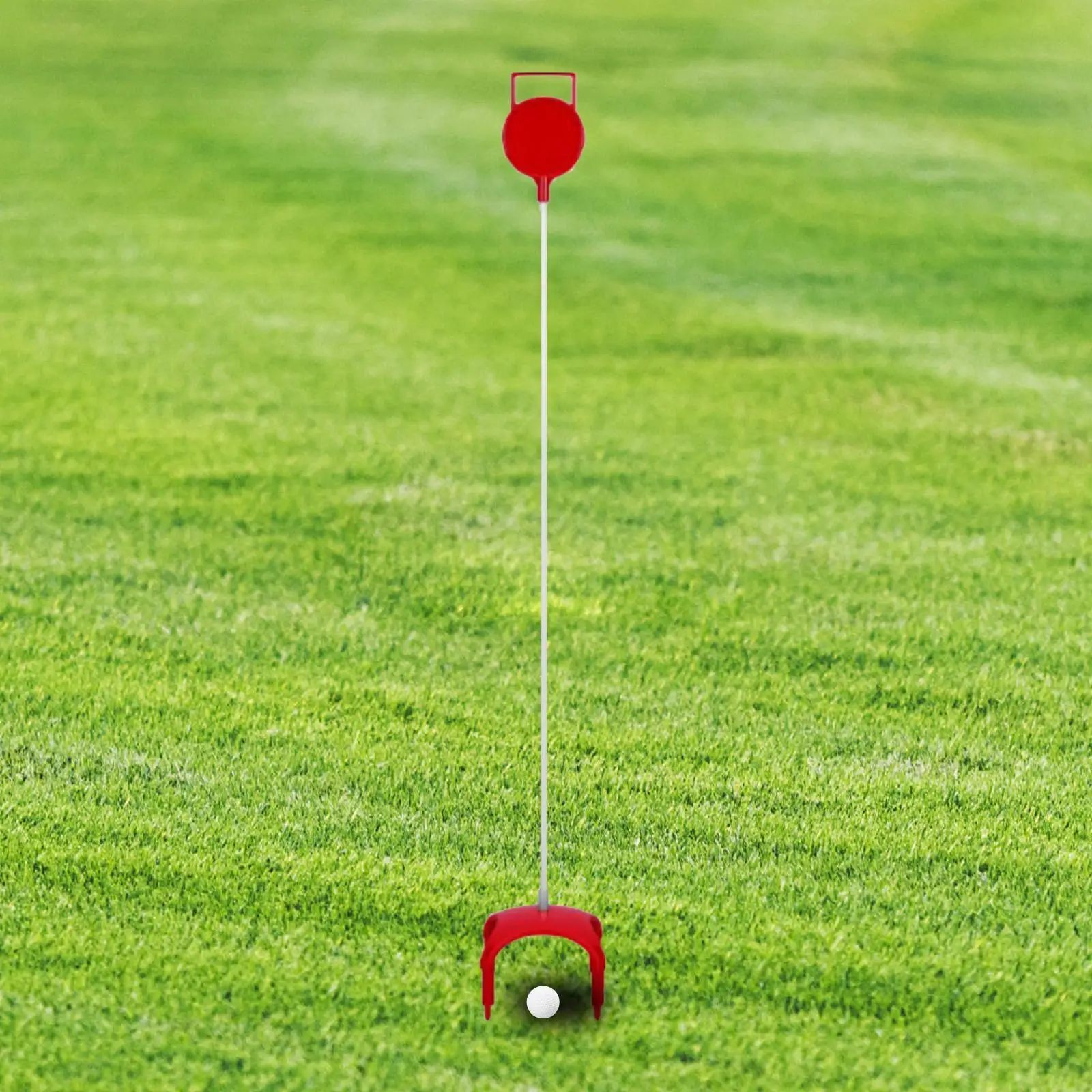 

Golf Putting Green Flag and Hole Cup, Golf Flags Practice Putting Green Flag, Putt Training for Men Driving Range Home