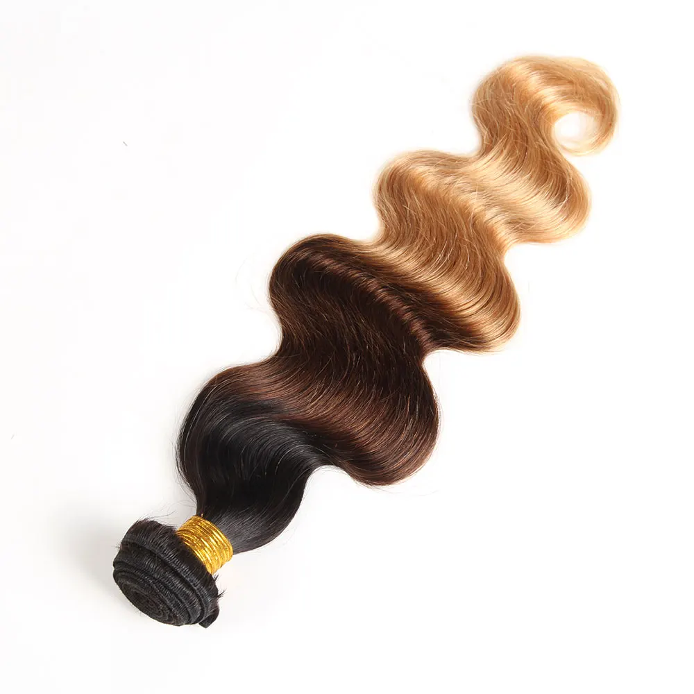 Farbige Körper Welle Menschliches Haar Bundles Brasilianische Haarwebart Bundles Ombre 100% Menschenhaar Verlängerung Remy Haar Weben 1/2 Stück