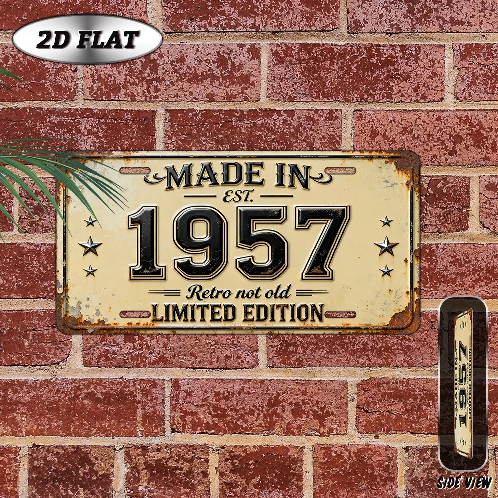2D Flat - 【2D Flat】 2D Flat - [2D Flat], 2D Plane, 1pc, Vintage Metal Aluminum Decorative Sign (12×6 Inches), Retro Year Sign Ma