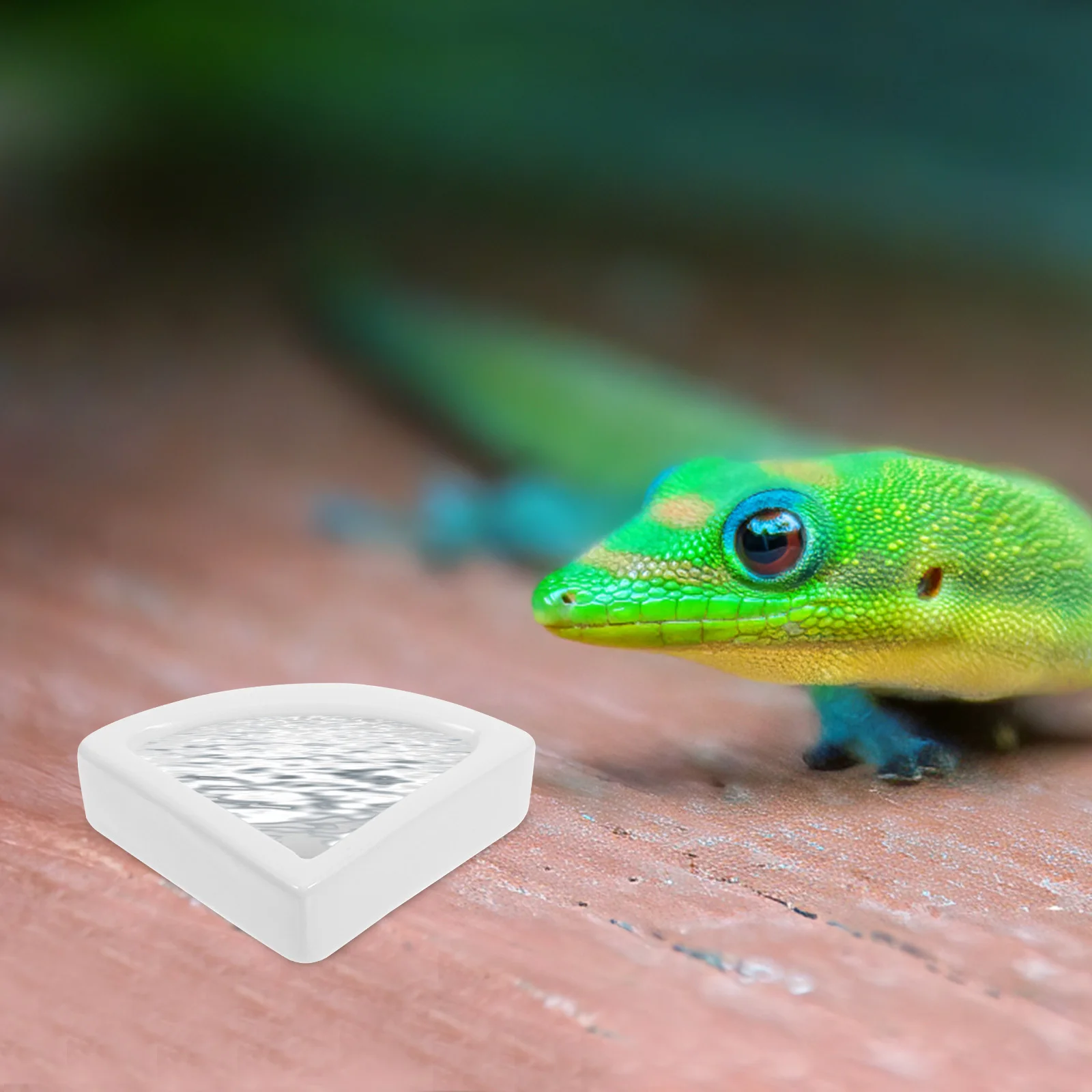 

2Pcs Ceramics Thicken Anti-Escape Bowl Medium Triangle Safe Stable Reptile Food Water Feeder Lizard Feeding Dish