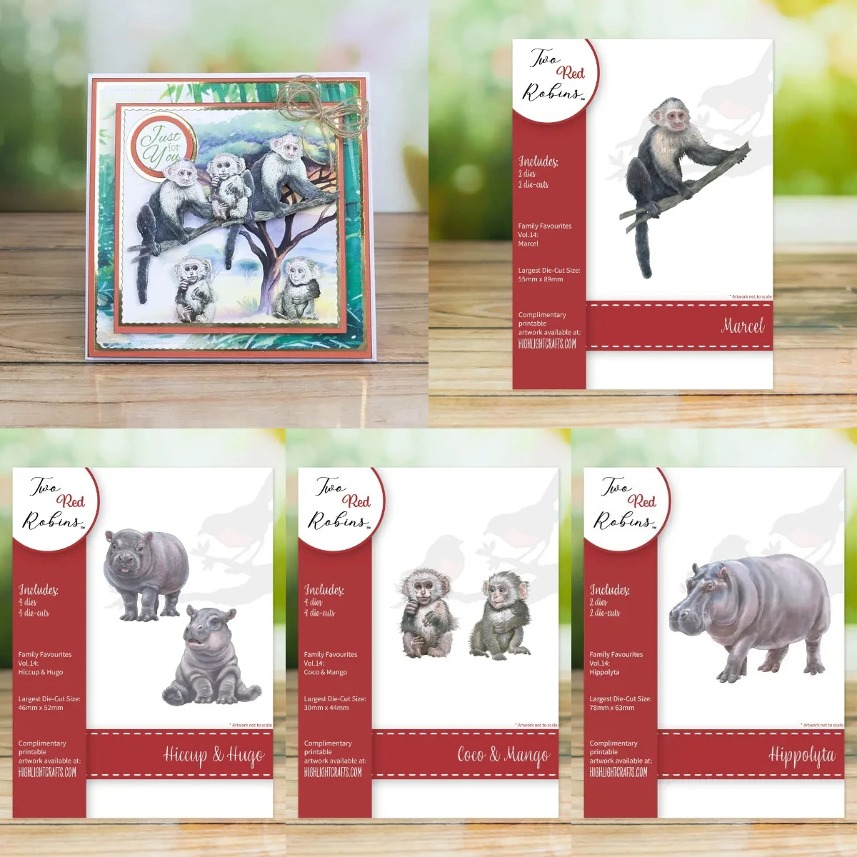 Marcel Coco & Mango 2026 Nuevos troqueles de corte de metal para manualidades DIY, scrapbooking, álbumes de fotos, plantillas y decoración hecha a mano