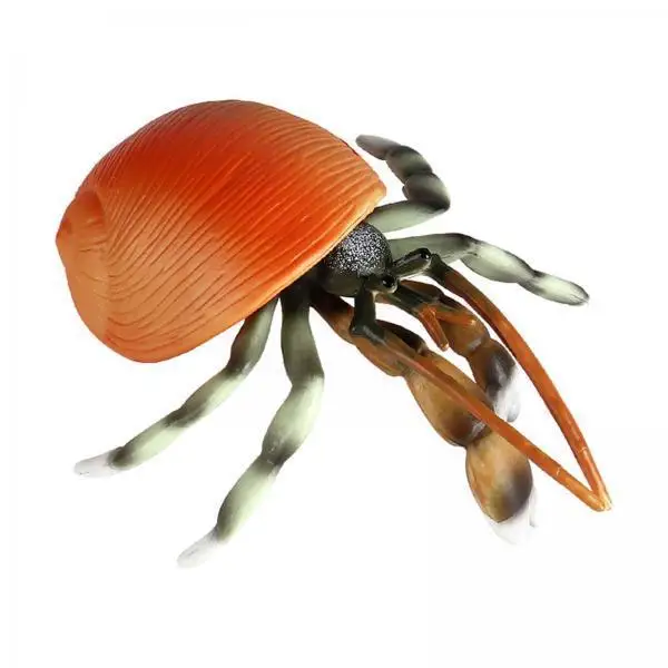 

Simulation Hermit Crab Animal Figure Biological Models Plastic Learning Toys for Kids Educational Activity