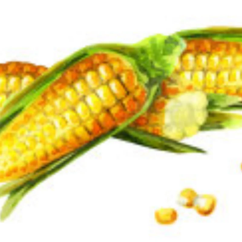 Juego de brazo oscilante superior e inferior de copa de dirección de Metal para SG1603 SG1604 UD1601 UD1602 SG-1603 SG-1604 piezas de repuesto de actualización de coche RC